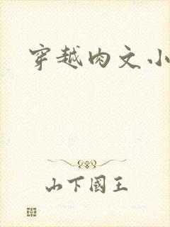穿越肉文小说