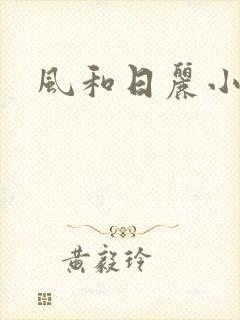 风和日丽小说