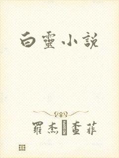 白灵小说封面