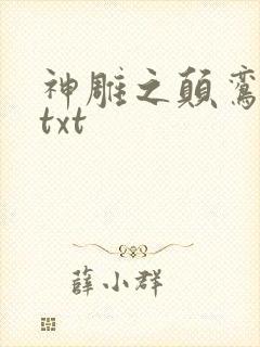 神雕之颠鸾倒凤txt封面