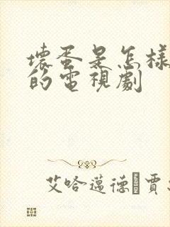 坏蛋是怎样炼成的电视剧