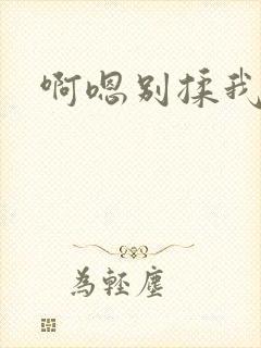 啊嗯别揉我奶头封面