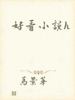 好看小说h