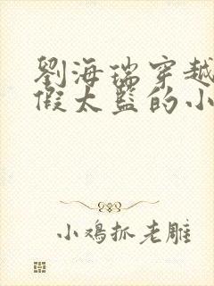 刘海瑞穿越后宫假太监的小说