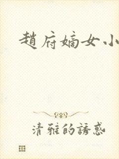 赵府嫡女小说封面