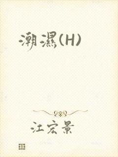 潮湿(H)