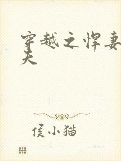 穿越之悍妻共三夫