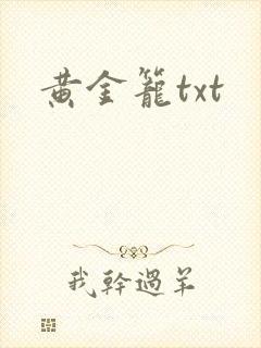 黄金笼txt