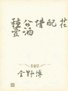 种公借配花间一壶酒封面