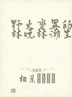 野火变异的父爱林晚林潮生