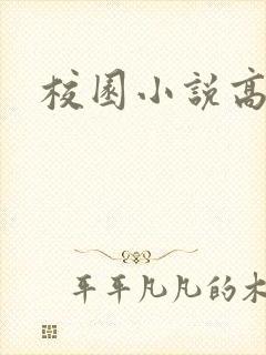 校园小说高h