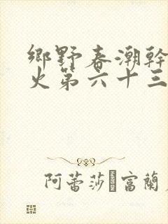 乡野春潮干柴烈火第六十三章