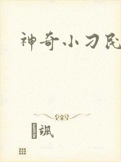 神奇小刁民