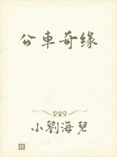 公车奇缘封面