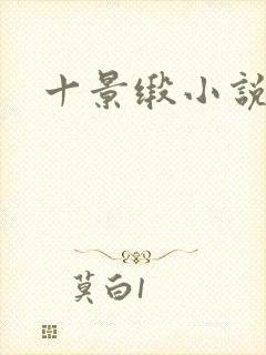 十景缎小说封面