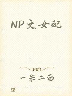 NP文女配