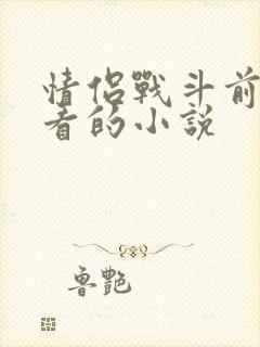 情侣战斗前适合看的小说