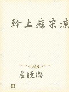 干上瘾宋凉向周封面