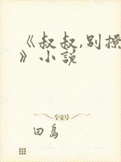 《叔叔,别撩我》小说