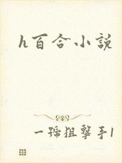 h百合小说封面