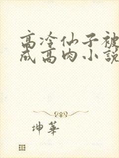 高冷仙子被调教成高肉小说