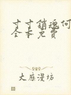 寸寸销魂何生祥全本免费