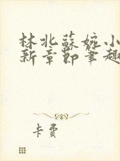 林北苏婉小说最新章节笔趣阁