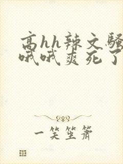 高hh辣文骚货哦哦爽死了