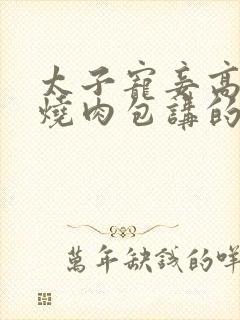 太子宠妾高肉红烧肉包讲的什么