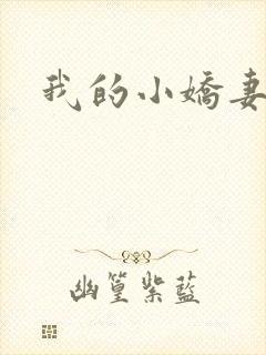 我的小娇妻h