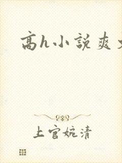 高h小说爽文