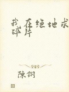 我在绝地求生捡碎片