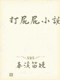 打屁屁小说封面