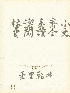 林洁秦齐小说免费阅读全文最新章节