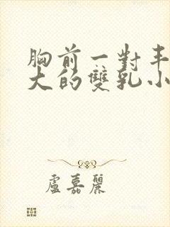 胸前一对丰满硕大的双乳小说