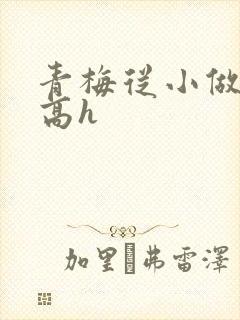 青梅从小做到大高h