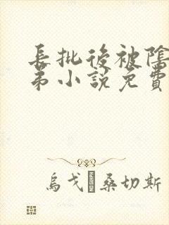 长批后被阴郁皇弟小说免费阅读无弹窗全文