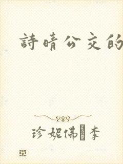 诗晴公交的小说封面