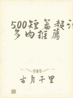 500短篇超污多肉推荐