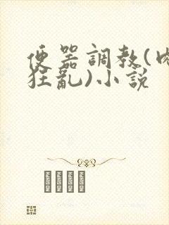 便器调教(肉体狂乱)小说封面