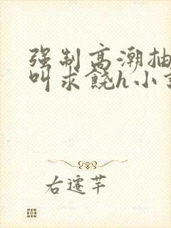 强制高潮抽搐哭叫求饶h小说