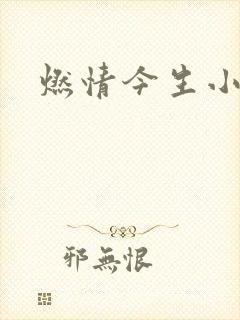 燃情今生小说