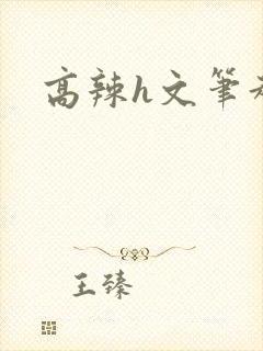 高辣h文笔趣阁