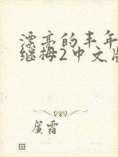 漂亮的丰年经的继拇2中文版