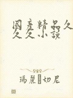 国产精品久久久久久小说