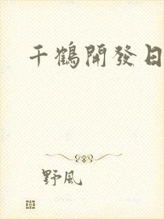 千鹤开发日记封面