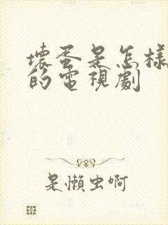 坏蛋是怎样炼成的电视剧封面