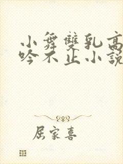 小舞双乳高耸呻吟不止小说