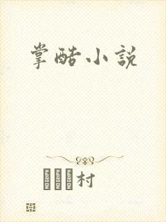 掌酷小说