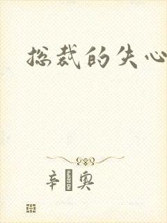 总裁的失心新娘封面